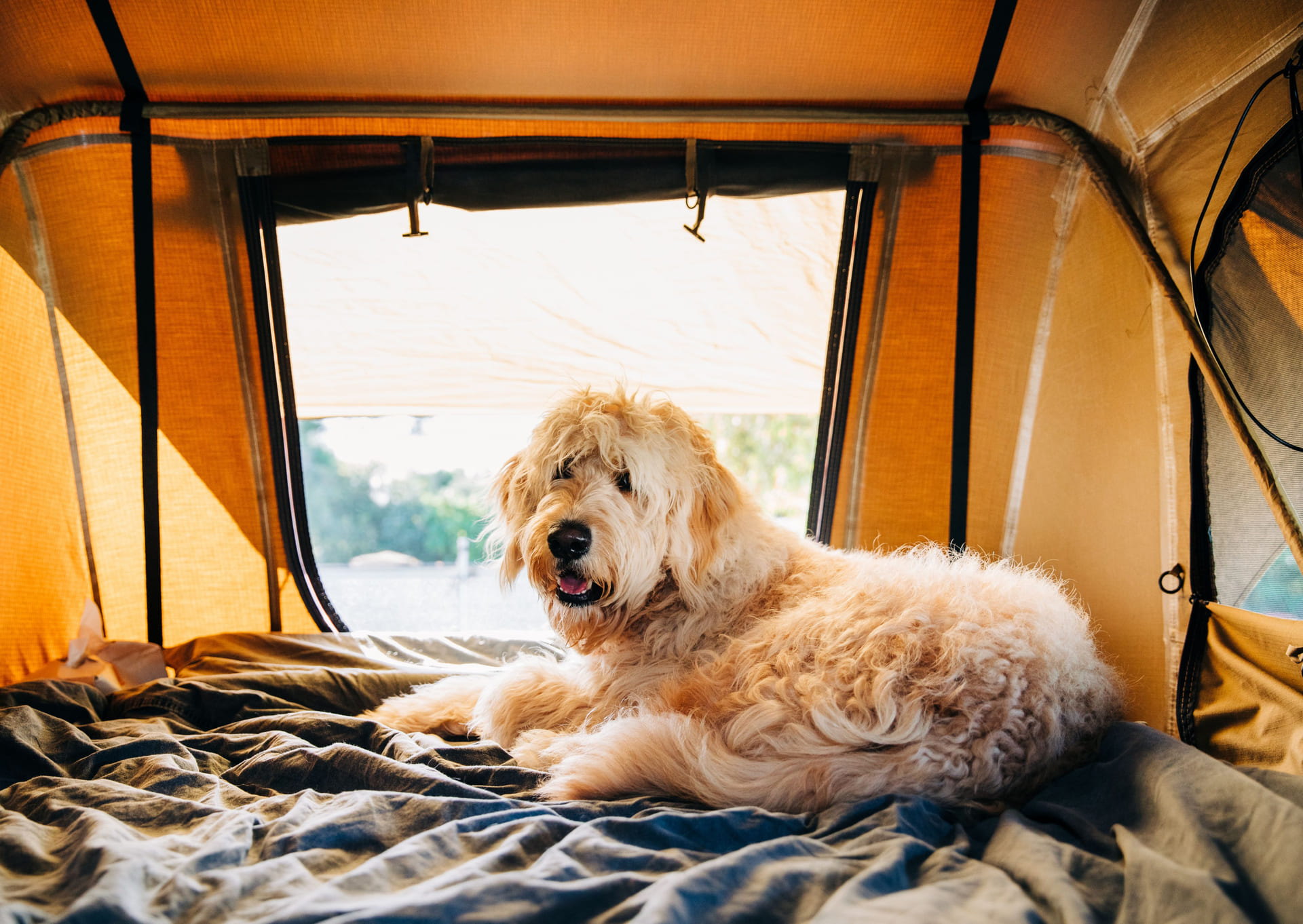 camping proche de saint brieuc