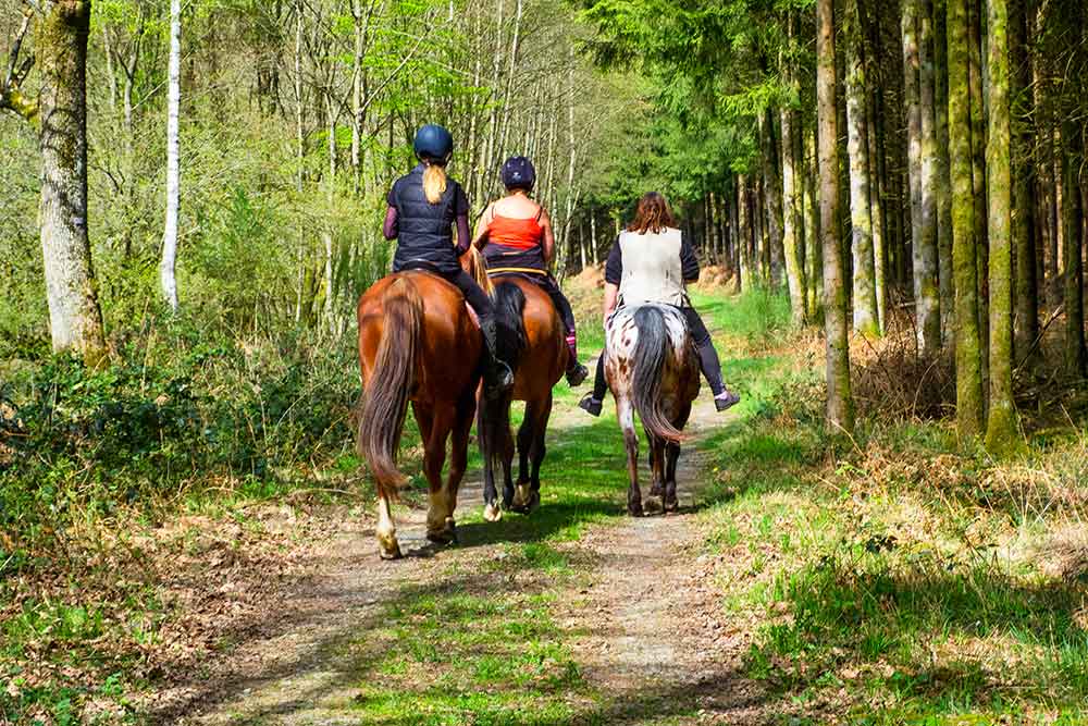 balade a cheval bretagne
