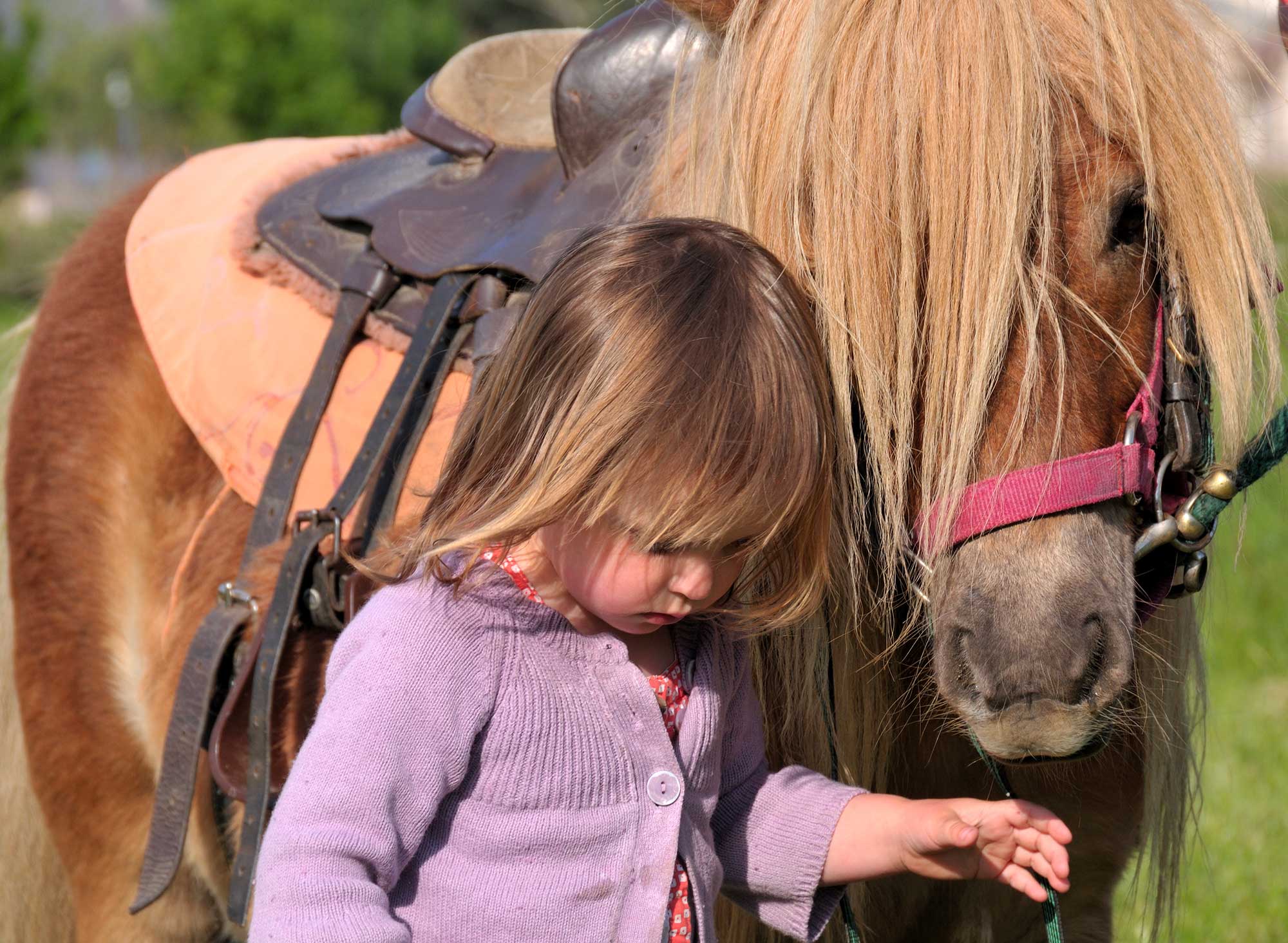 balade poney cotes d armor