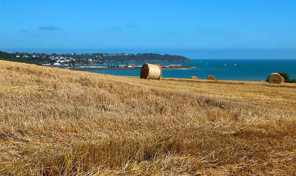visiter la pointe du roselier